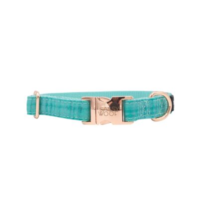 Wag Your Teal’ Dog Collar