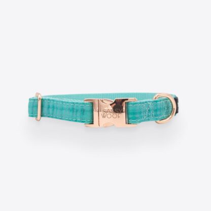 Wag Your Teal’ Dog Collar